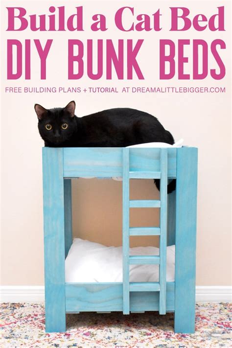 How to Build Cat Bunk Beds ⋆ Dream a Little Bigger