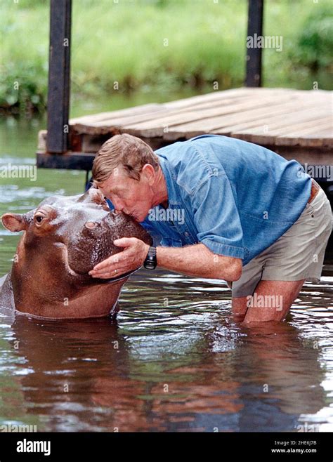 Jessica hippo hi-res stock photography and images - Alamy