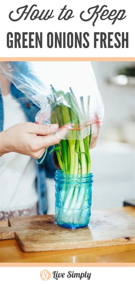 How to Keep Green Onions Fresh | Green onions, Onion, Fresh onions