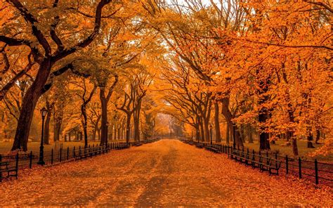 Autumn Central Park Wallpapers - Wallpaper Cave