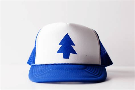 DIY Dipper Pines Hat from Gravity Falls — All for the Boys