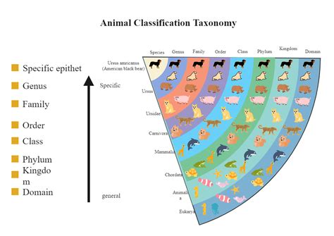 Taxonomy Chart Template