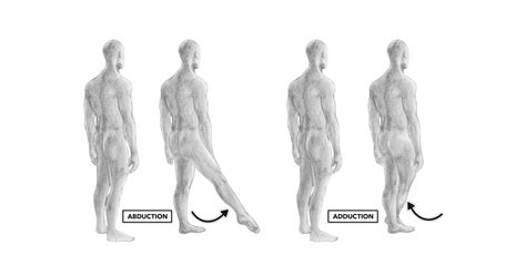 Kinesology , Lesson 2, Lesson 3, Lesson 5, Lesson 6, Lesson 1, image,…