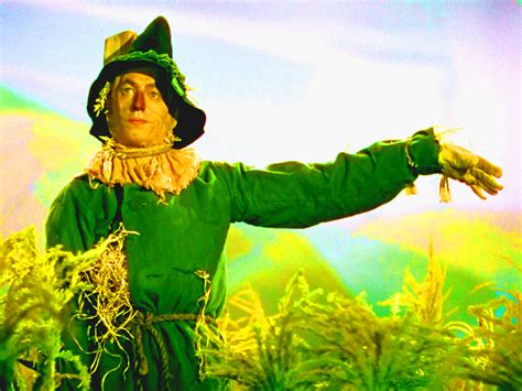 The Wizard of Oz - Scarecrow - el mago de oz fan Art (44211562) - fanpop