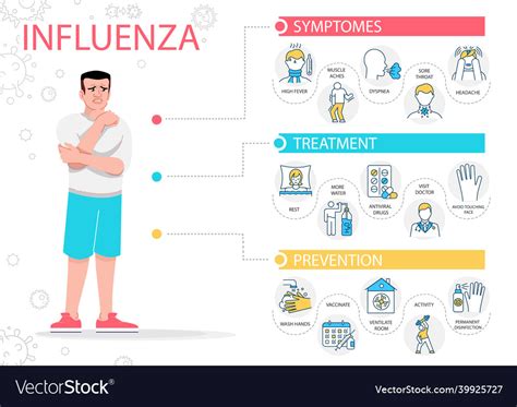 Influenza symptoms infographic template flu virus Vector Image