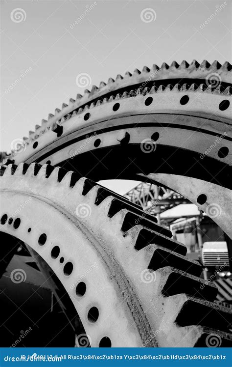 Gear wheel stock photo. Image of accuracy, detail, cogwheel - 14649112