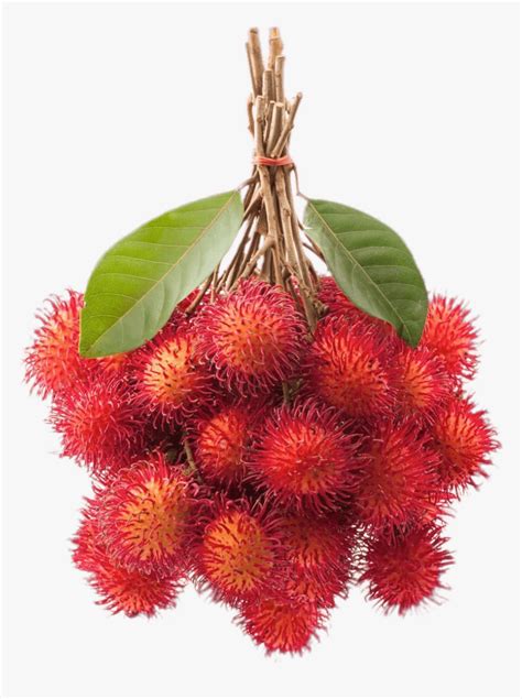 Bunch Of Rambutan - Rambutan Fruit Clipart, HD Png Download - kindpng