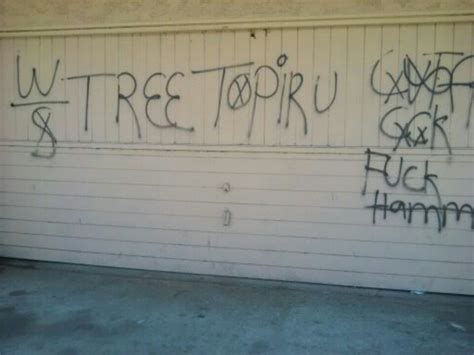 blood gangs graffiti: Tree top piru ( compton , TTP )