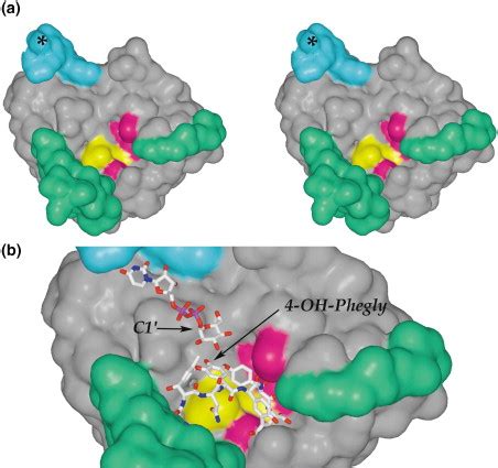 Structure of the UDP-Glucosyltransferase GtfB That Modifies the ...