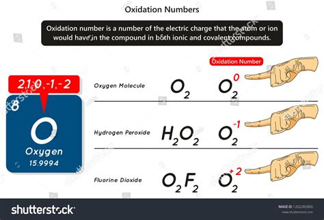 Oxidation Numbers Infographic Diagram Example Oxygen Stock Vector ...