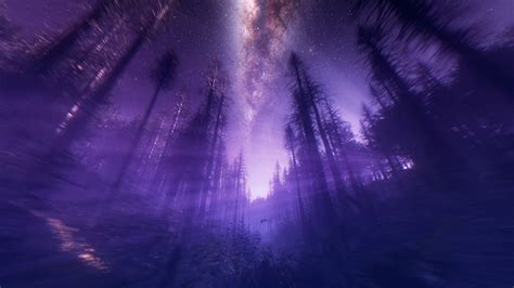 Purple Forest Wallpapers - 4k, HD Purple Forest Backgrounds on WallpaperBat