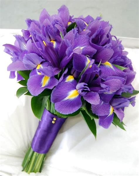 Awesome Iris Flower Bouquet 15+