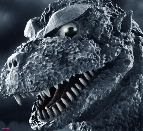 X-Plus Inoue Godzilla 1954 Closeup – MyKaiju®