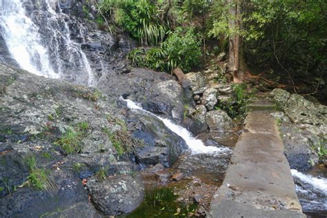 7 Amazing Waterfalls at Springbrook National Park