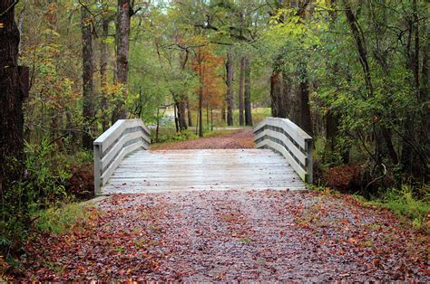 Moores Creek Bridge Photograph by Cynthia Guinn - Fine Art America