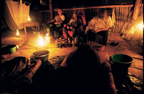 Ayahuasca Preparation Guide: Diet, Ceremony, Recipe & More