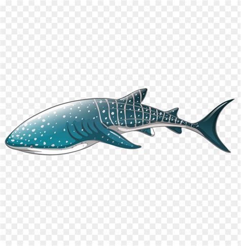 Whale Shark Clipart Png Photo - 31868 | TOPpng