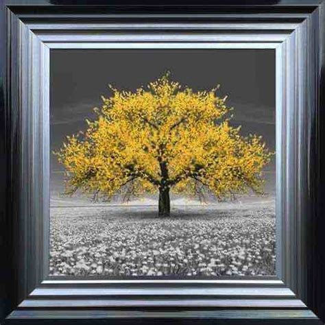 Yellow Cherry Blossom Tree – The Gallery