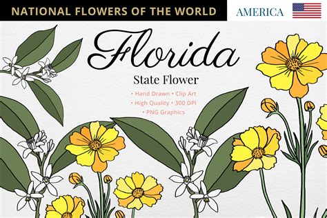 Florida State Flower Graphic by Hanatist Studio · Creative Fabrica