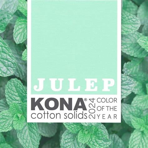 Kona Color Of The Year 2024 Release Date - Nixie Loreen