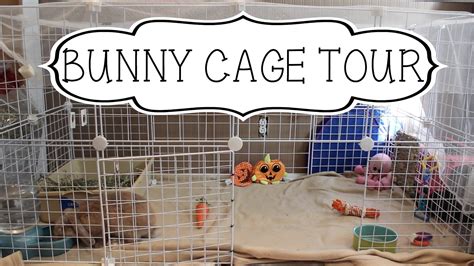 DIY Bunny Cage | Bunny cages, Diy bunny cage, Holland lop bunnies