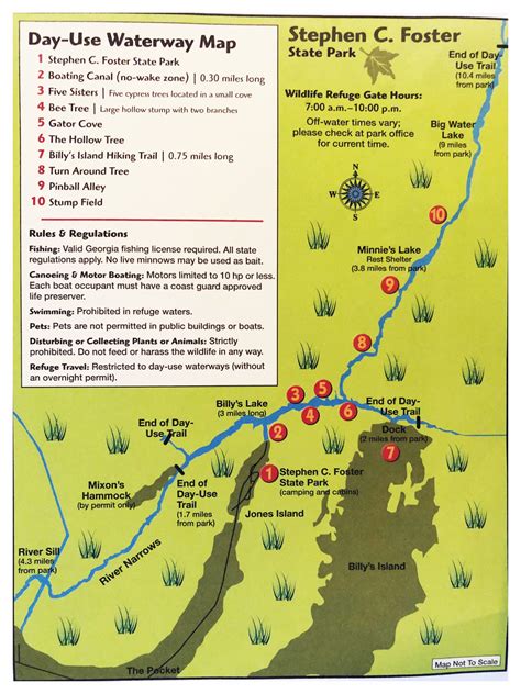 Okefenokee Swamp - Billy's Island | Florida Paddle Notes