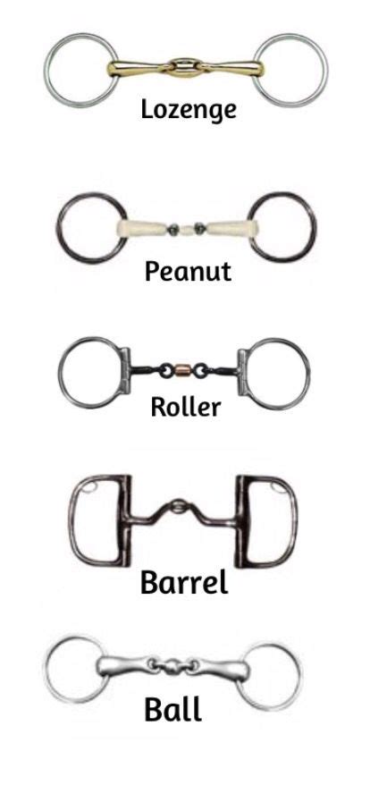 Common English bit- mouthpiece parts | Bits for horses, Horse tack ...