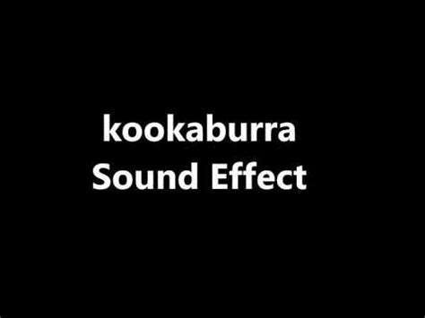 kookaburra Sound Effect - YouTube