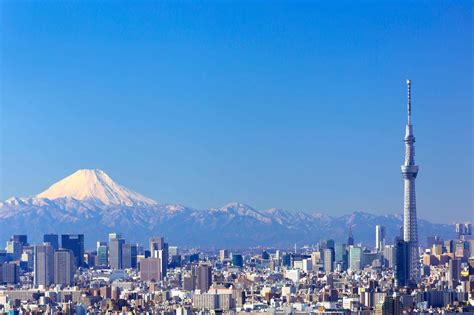 Five reasons to visit Tokyo, Japan | Lawlor Media Group