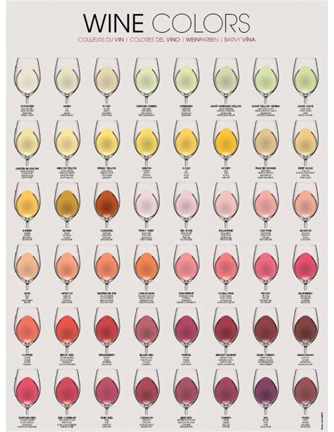 WINE COLORS POSTER