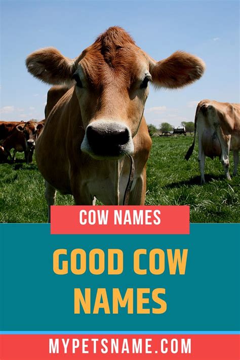 Good Cow Names