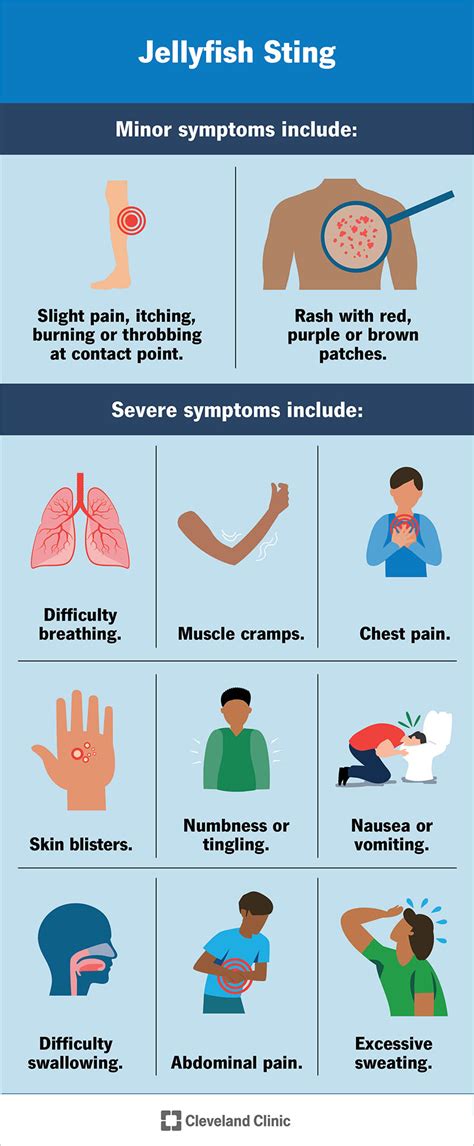 Jellyfish Sting: Symptoms & Treatment