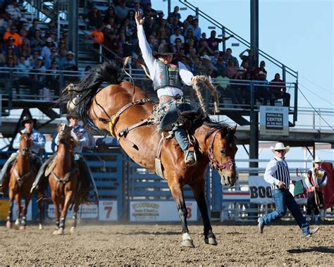 Cody Stampede Rodeo 2024 in Wyoming - Rove.me