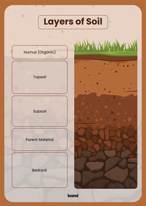 Soil Profile Diagram Worksheets Soil Layers Soil Types Of Soil ...