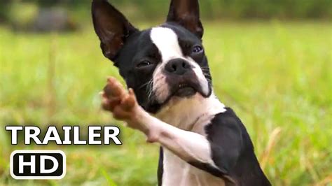 STRAYS Trailer (2023) Isla Fisher, Will Ferrell, Jamie Foxx, Comedy ...