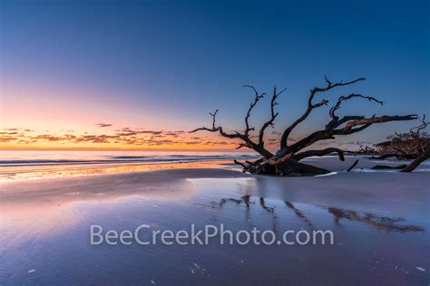 Colorful Sunrise at Driftwood Beach