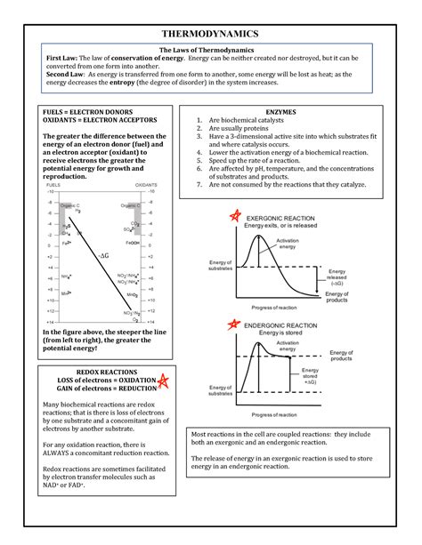 Cheat Sheet 11+Thermodynamics - THERMODYNAMICS The Laws of ...