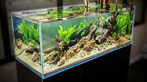 HOW TO AQUASCAPE a 125 gal. Nature Aquarium - YouTube | Paisajismo ...