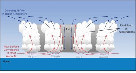 Hurricane Structure Diagram