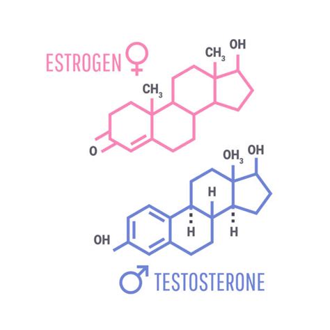 Oestrogen Illustrations, Royalty-Free Vector Graphics & Clip Art - iStock