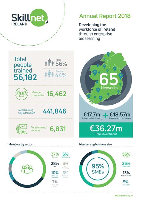 Infographic Annual Report