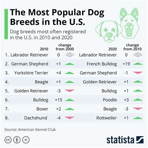 Most Popular Dogs In Usa 2024 - Maire Roxanne