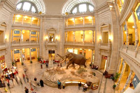 Visitors Guide for the Smithsonian Museum of Natural History