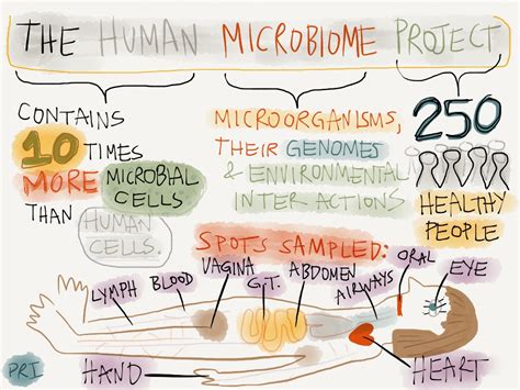 "Human Microbiome Project" through an infographic