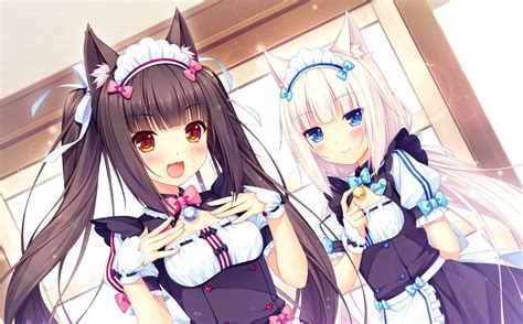 Nekopara 4k Wallpapers - Wallpaper Cave