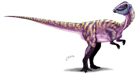 Micropachycephalosaurus - Everything Dinosaurs