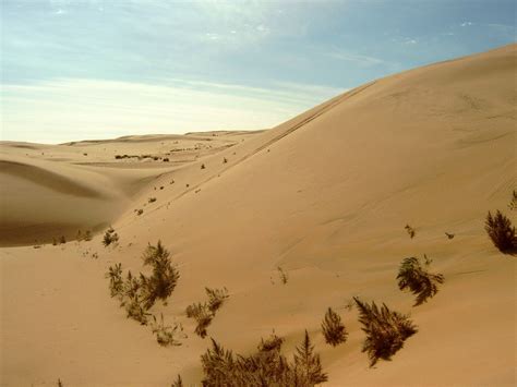 Gobi Desert | Map, Plants, Animals, & Facts | Britannica