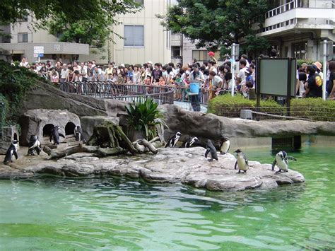 Ueno Zoological Park | Next Stop, Japan