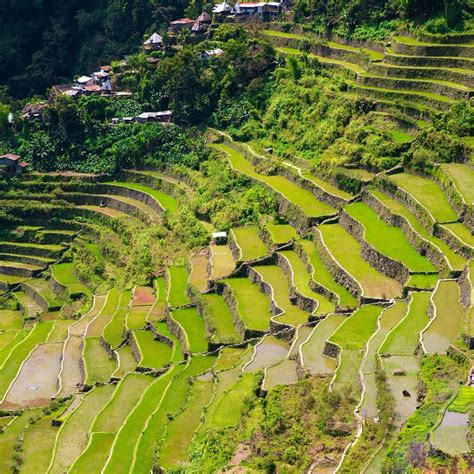 Banaue Rice Terraces Tour | Philippines Holidays | Eastravel