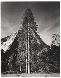 ANSEL ADAMS (1902–1984) , Trees and Cliffs, Yosemite Valley, California ...